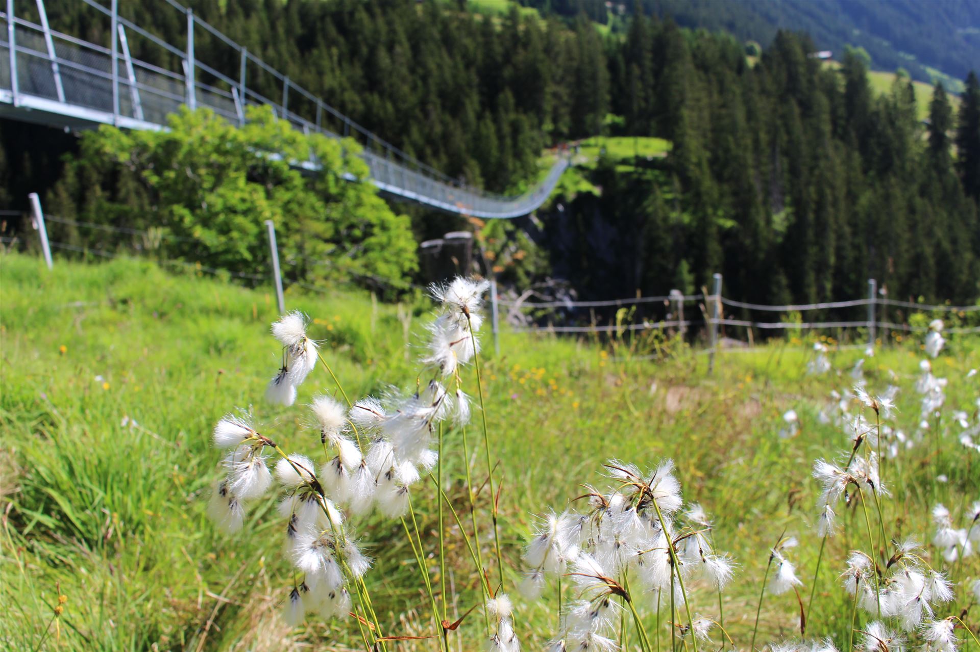 Bergschule Oberallgäu - E5 Oberstdorf Nach Meran - Fernwanderweg E5